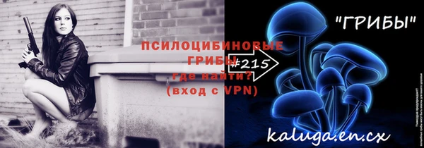 первитин Карпинск