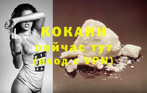 ПСИЛОЦИБИНОВЫЕ ГРИБЫ Козловка