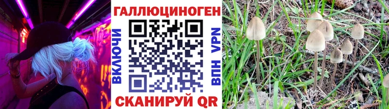 OMG онион Киселёвск Псилоцибиновые грибы GOLDEN TEACHER